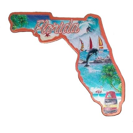 Florida State Outline Foil Fridge Magnet