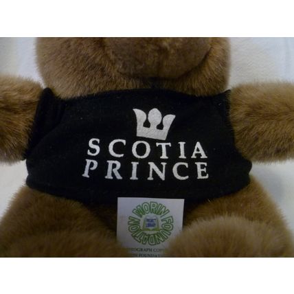 RARE SCOTIA PRINCE TEDDY BEAR with BLUE T-SHIRT cruise & ferry line OOB in 2004