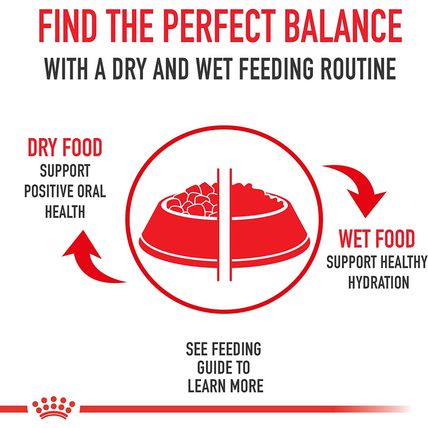 Royal Canin Shih Tzu Adult Breed Specific Dry Dog Food, 10 Lb Bag