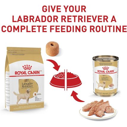Royal Canin Labrador Retriever Adult Dry Dog Food, 30 Lb Bag