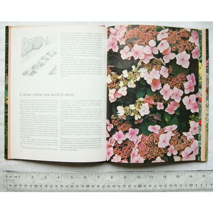 1975 Down-to-earth Gardening by Violet Stevenson