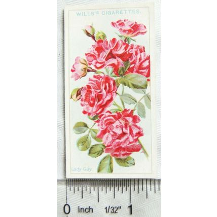 1926 Wills Roses No. 24 Lady Gay