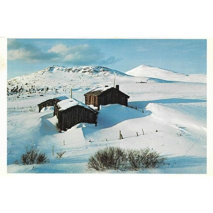 Norway - Hovringen - Postcard