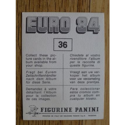 Panini Euro 84 Badge | No. 36 | France