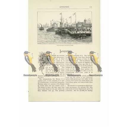 Prince's Landing Stage, Liverpool, Lancs, Book Illustration (Print), 1891