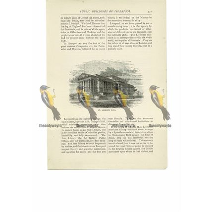 St George's Hall, Liverpool, Lancs, Book Illustration (Print), 1891