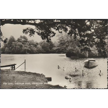 Lake, Dunorlan Park, Tunbridge Wells, Kent, 1966 - Shoesmith & Etheridge RPPC
