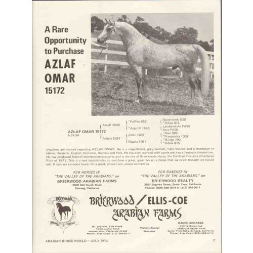brierwood arabian farms 1972 azlaf omar equestrian horse vintage ad