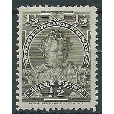 Newfoundland 1898 SG83 1/2c Olive Mounted Mint . ..