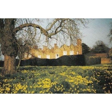Liscombe Park Buckinghamshire Bucks Easter Postcard