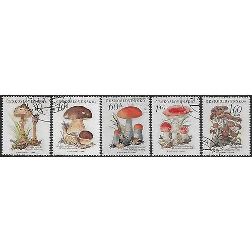 Mi 1101/5: Mushrooms.