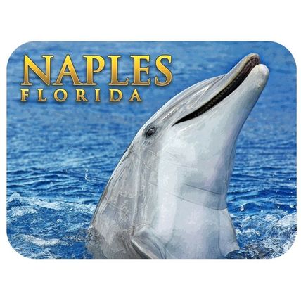 Naples Florida with Dolphin Fridge Magnet