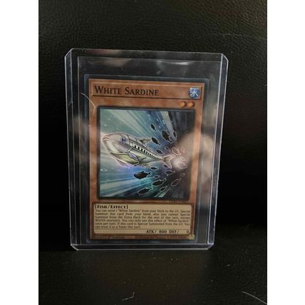 White Sardine - PHNI-EN007 - Super Rare - 1st Edition Phantom Nightmare Yu-Gi-Oh
