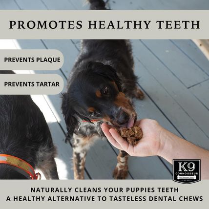 K9 Connoisseur Beef Lung Dog Training Treats All Natural & Lean, USA Made Single