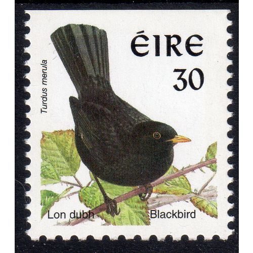 1997 IRELAND Sg1038 as p.11 x 13 30c Blackbird Un mounted mint MNH (G116)