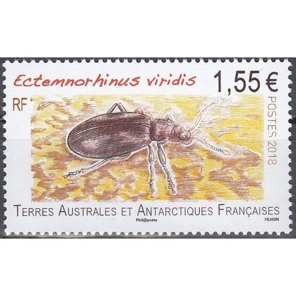 TAAF 2018 Insecte Ectemnorhinus Viridis Neuf **