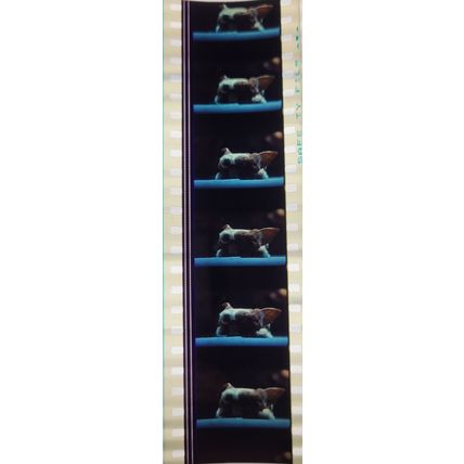 Gremlins. pk HCH - b- 034H . 1 strip of 5 film cells - 35mm