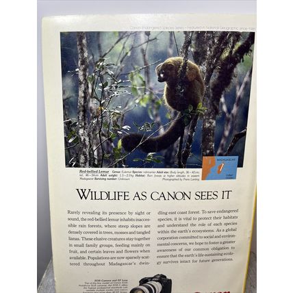 National Geographic Magazine April 1994 The Everglades - Vintage Collectable p2
