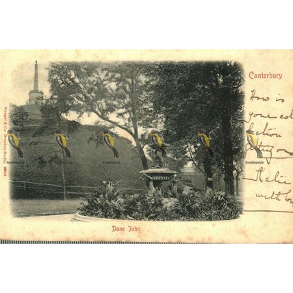 Dane John, Canterbury, Kent, Rare Stengel Undivided Postcard, 1900s