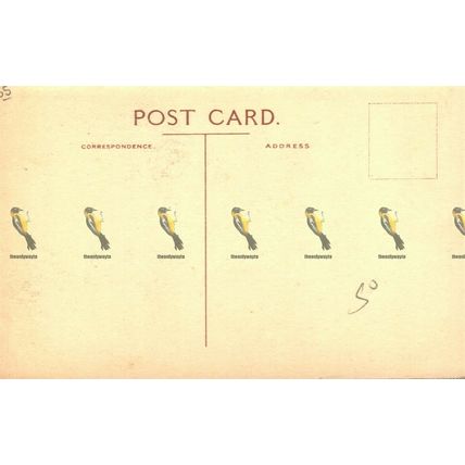 Canterbury Cathedral, Monks Infirmary Ruins, Kent, Postcard,