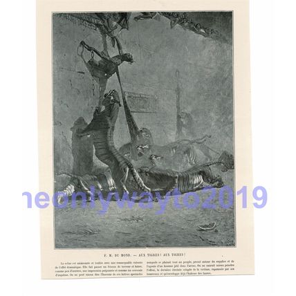Aux Tigres! Aux Tigres!, F M du Mond, Book Illustration (Print), c1903
