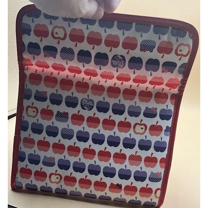 A Rare Exclusively From Japan Sanrio 2016 Hello Kitty Organizer Clutch Bag ￼