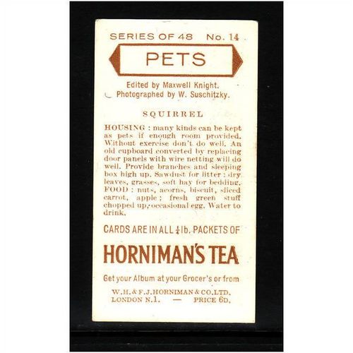 HORNIMANS PETS SQUIRREL No 14 Mint