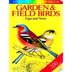 Garden Field Birds