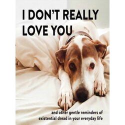 I Don't Really Love You