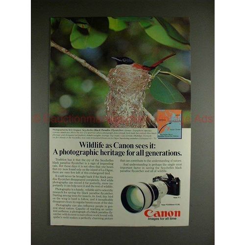 1982 Canon F1 Camera Ad, w/ Black Paradise Flycatcher!!