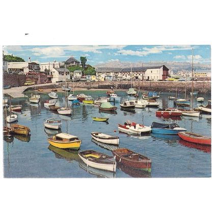 the harbour, PAIGNTON, DEVON, used vintage postcard 1976 postmark =