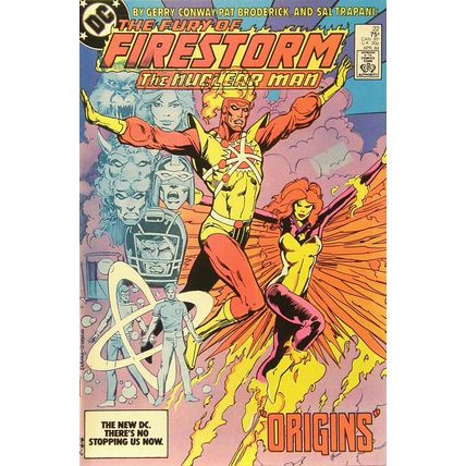 Firestorm (Vol 2) The Fury of # 022 VFN- AMERICAN COMICS