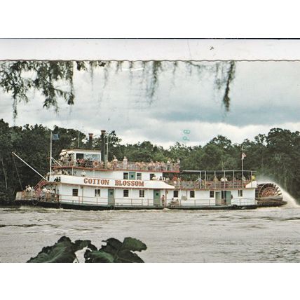 Cotton Blossom Sternwheeler Postcard 1979 used VGC