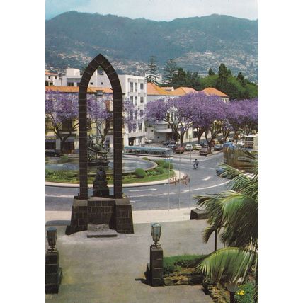 Madeira Funchal Avenida Arriaga Portugal Postcard unused VGC
