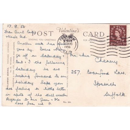 Petunias postcard posted 1956 crease