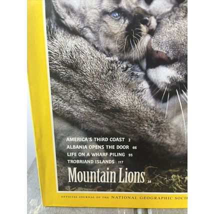 National Geographic Magazine July 1992 Mountain Lions - Vintage Collectable y