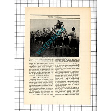 Rugby Sport - c.1930's Article