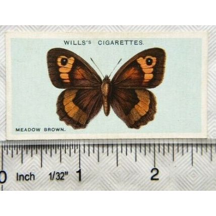 1927 Wills British Butterflies No. 15 Meadow Brown