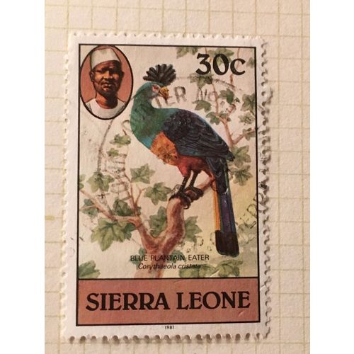 Sierra Leone 1981 Birds 30c Great Blue Turaco Used SG 630B postage stamp