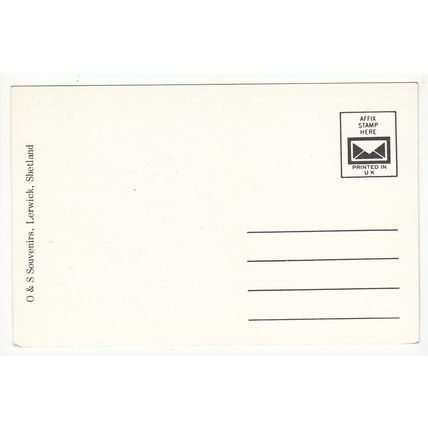 Prize Winning Dogs Shetland Collies Shetland Islands Postcard