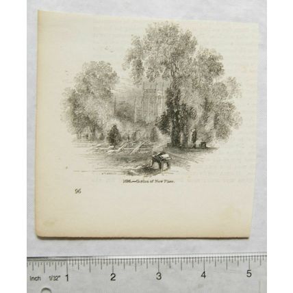 1860s engraving - Garden of New Place