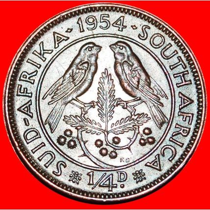 BIRDS (1953-1960): SOUTH AFRICA ★ 1/4 PENNY 1954! ★LOW START★NO RESERVE