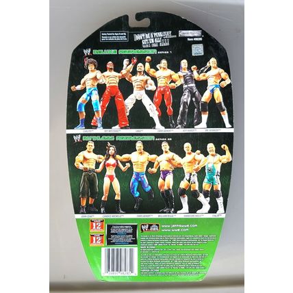 wwe wwf ljn classic superstars limited edition 1 of 5000 rob van dam figure