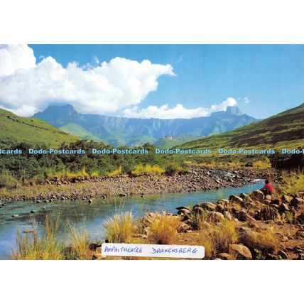 D024226 The Amphitheatre. Drakensberg. Natal. Art Publishers. John Hone