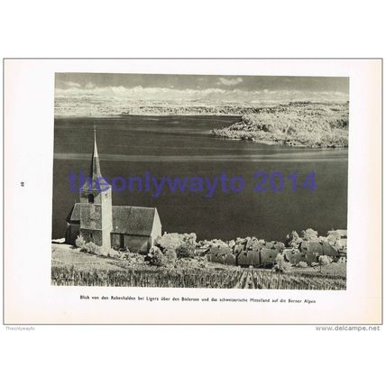Ligerz Church, Lake Biel, Switzerland, Photogravure Book Illustration (Print), 1