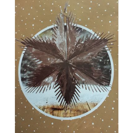 BELIEVE Bronze/Silver Hanging Metallic Foil Starburst BNIP