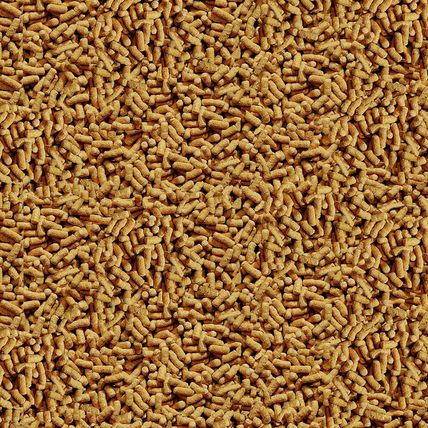 Tetrapond Pond Sticks Pond Fish Food for Goldfish and Koi, Healthy Nutrition Cle