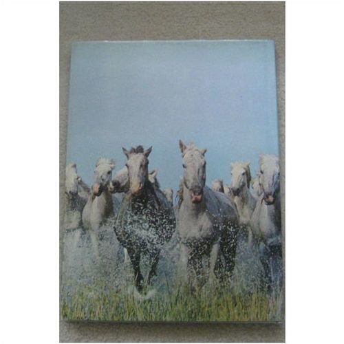 BOOK - THE LOVE OF HORSES LARGE HARD COVER