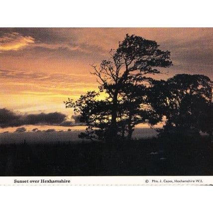 Sunset Over Hexhamshire Northumberland Womens Institute Rare Postcard