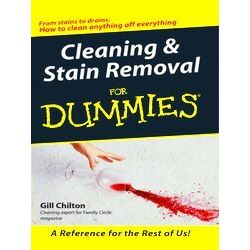 Housecleaning Stain Removal Dummies
